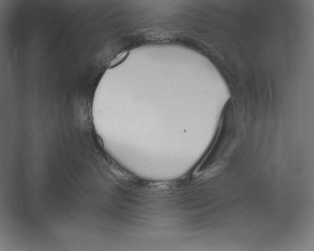 X0000060260624200511241429