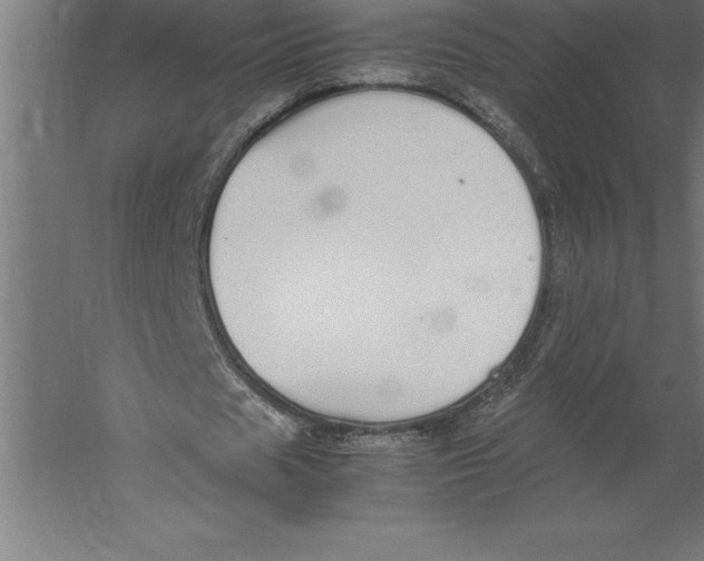 X0000060260625200511241428