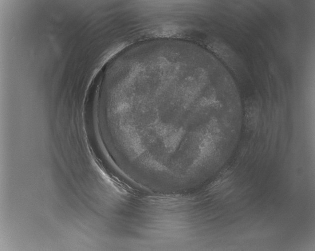 X0000060260626200511241428