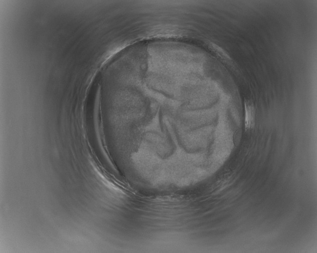 X0000060260627200511241428