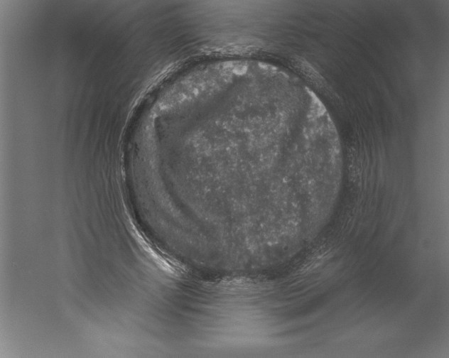 X0000060260634200511241428