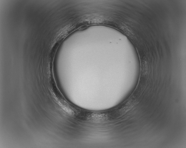 X0000060260638200511241428