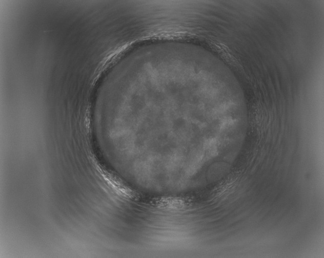 X0000060260640200511241428