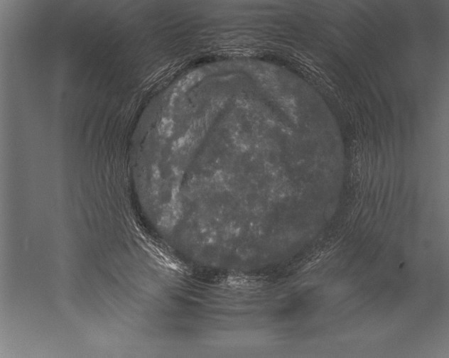 X0000060260641200511241428