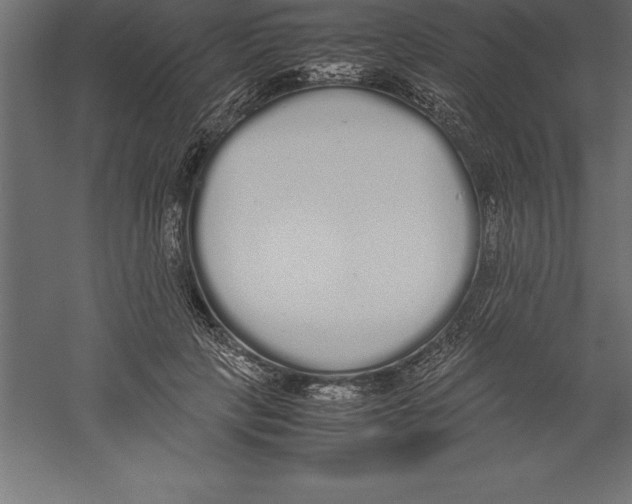 X0000060260649200511241429