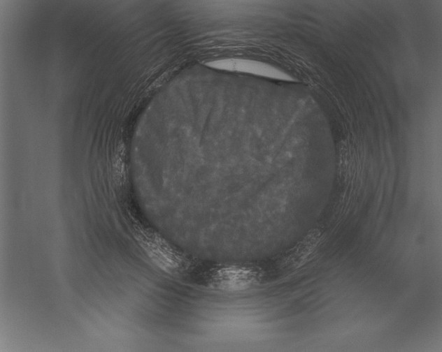 X0000060260650200511241429