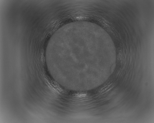 X0000060260651200511241429