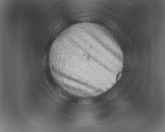 X0000060260652200511241429