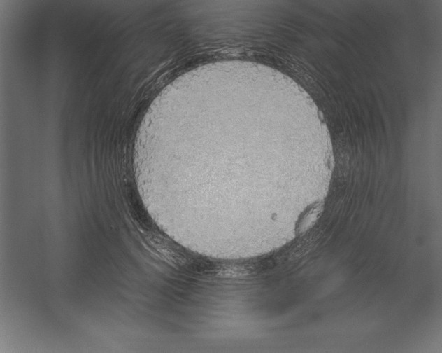 X0000060260656200511241429