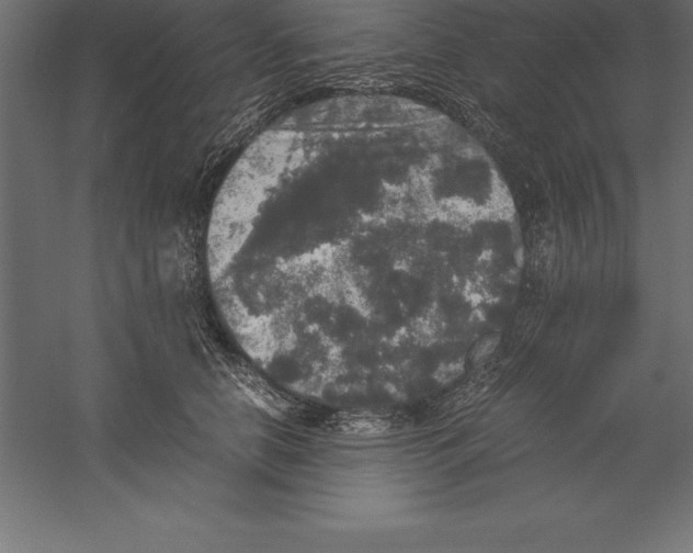 X0000060260658200511241429