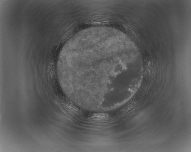 X0000060260659200511241429