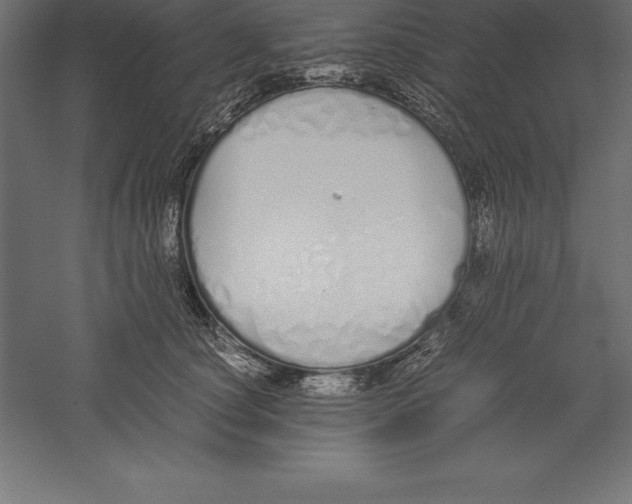 X0000060260660200511241429