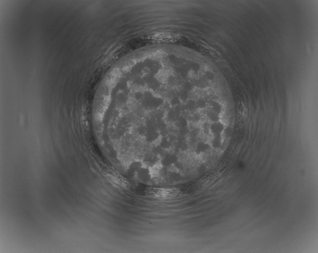 X0000060260663200511241429