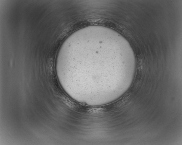 X0000060260664200511241429