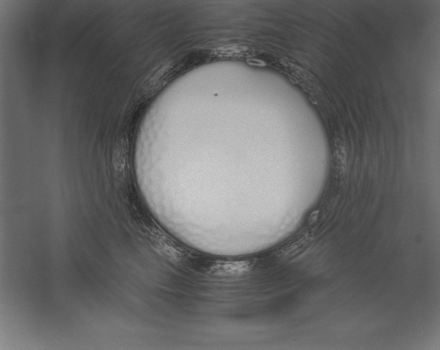 X0000060260665200511241429