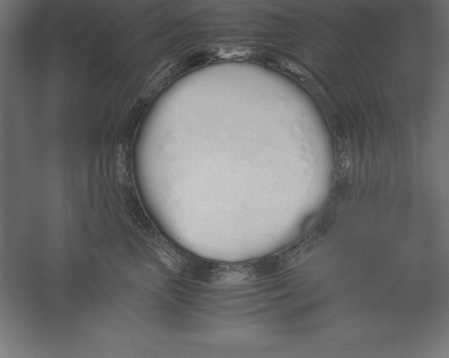 X0000060260667200511241429