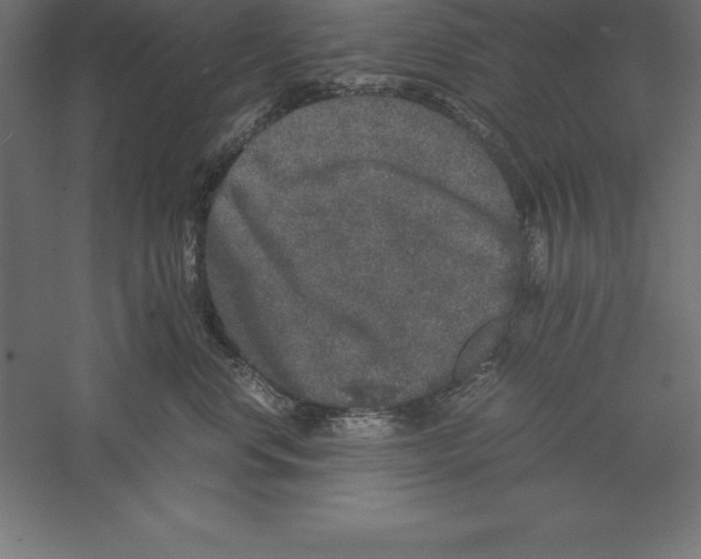 X0000060260668200511241429