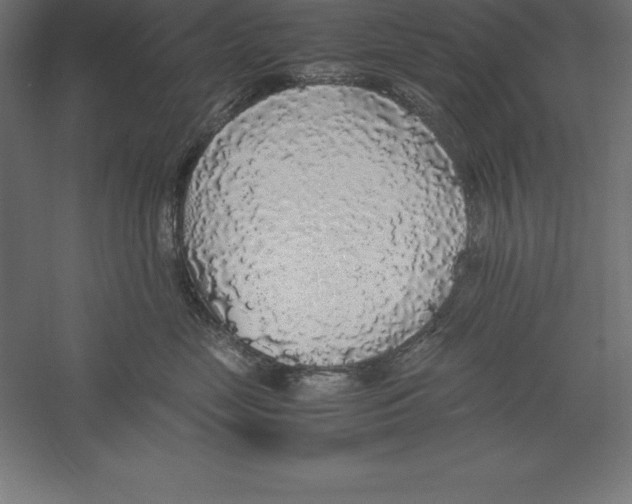 X0000060260669200511241429