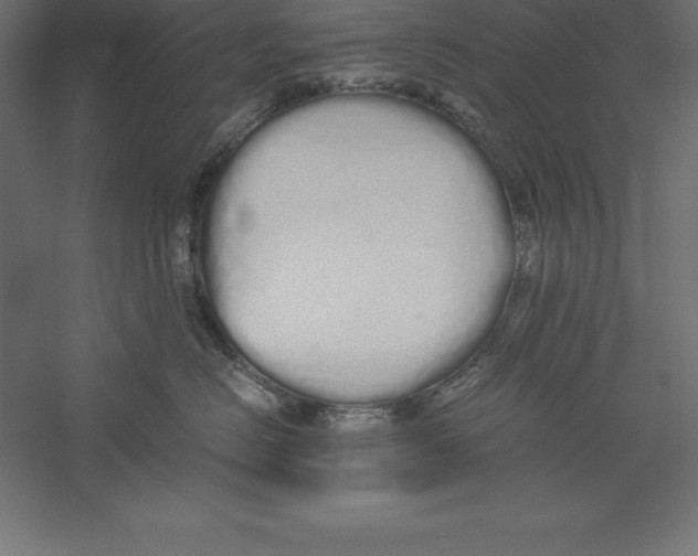 X0000060260670200511241429