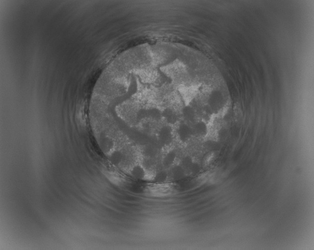 X0000060260671200511241429