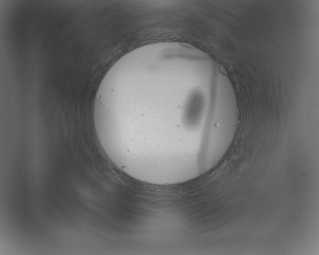 X0000060260672200511241429