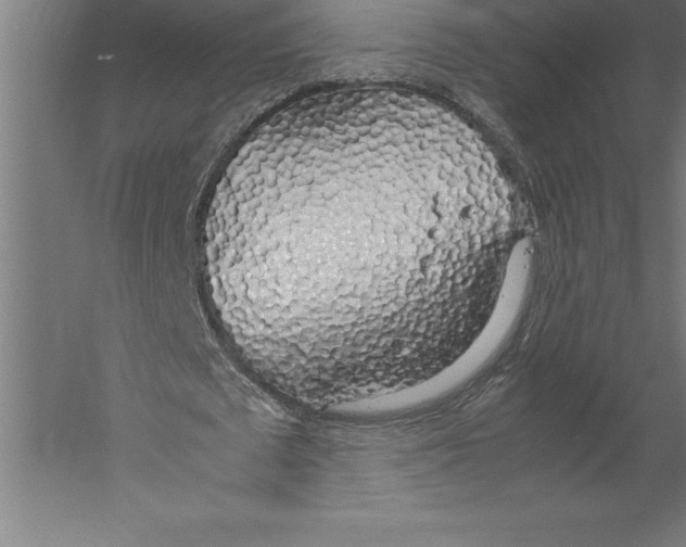 X0000060260673200511241428