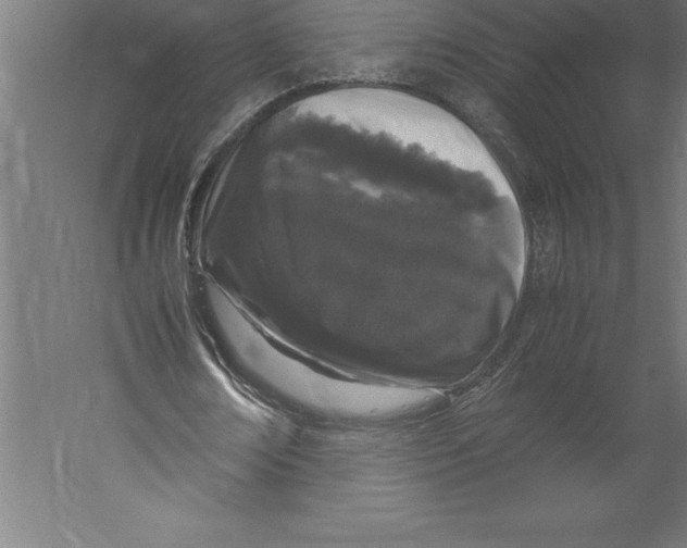 X0000060260674200511241428