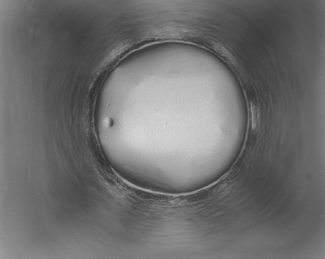 X0000060260675200511241428