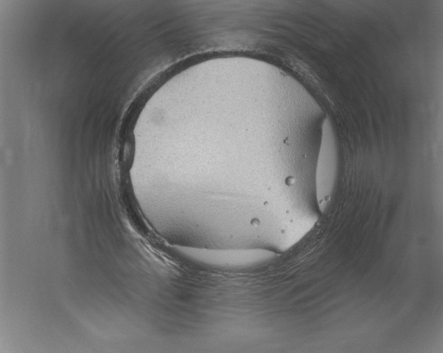 X0000060260676200511241428