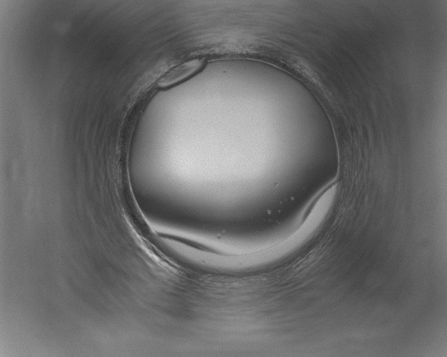 X0000060260677200511241428