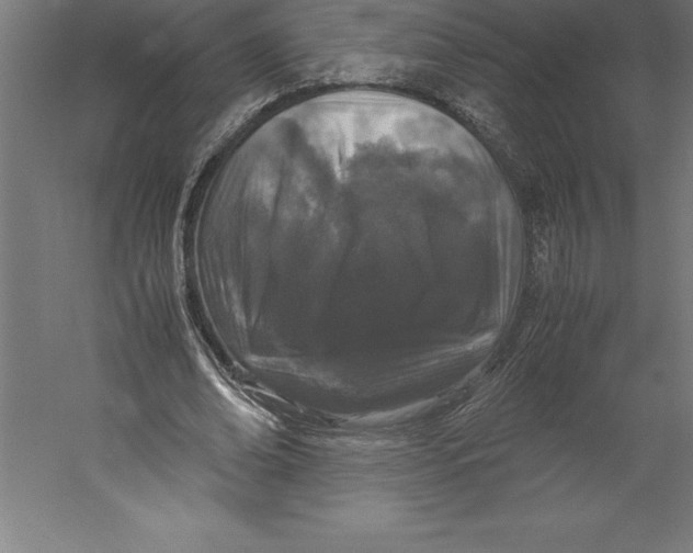 X0000060260678200511241428