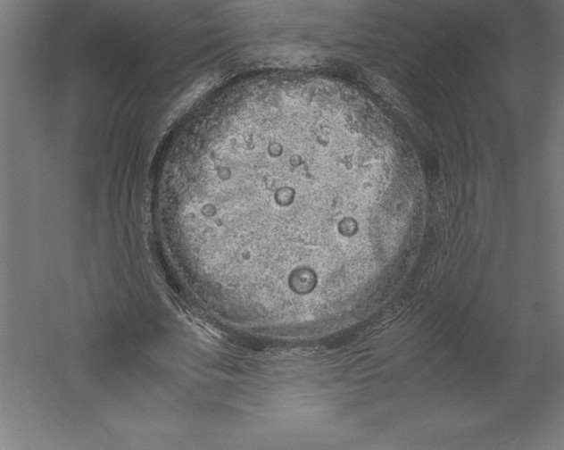 X0000060260679200511241428