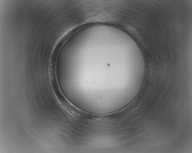 X0000060260680200511241428