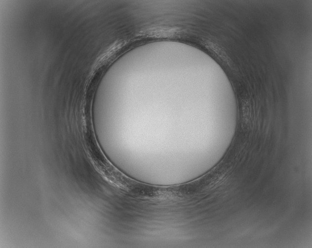 X0000060260682200511241428