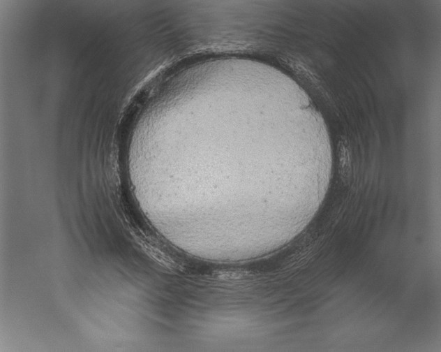 X0000060260684200511241428