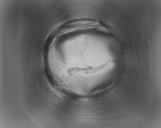 X0000060260688200511241428