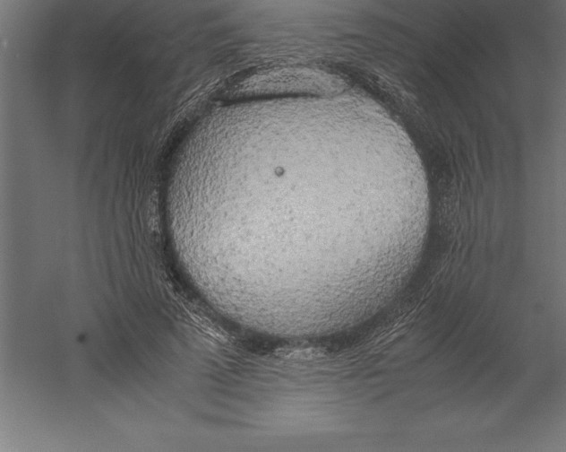 X0000060260689200511241428