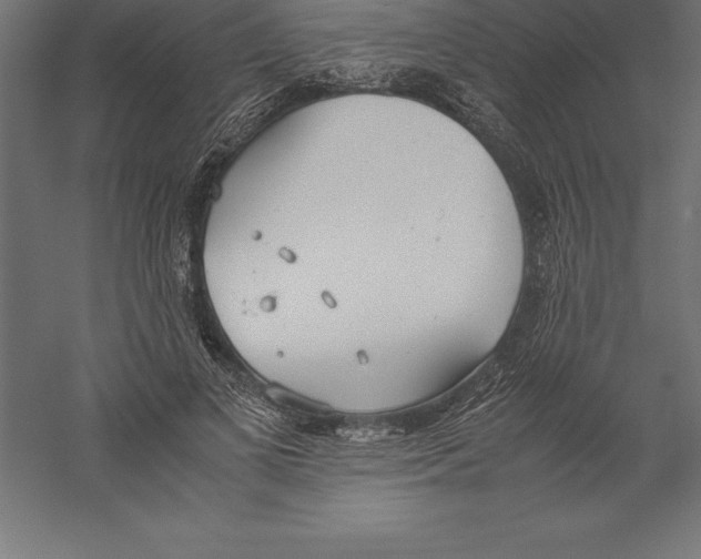 X0000060260693200511241428