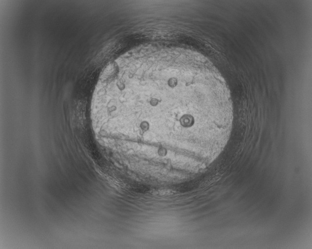 X0000060260695200511241428