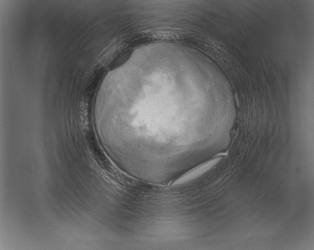 X0000060260696200511241428