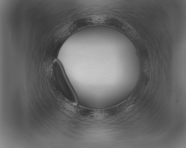 X0000060260697200511241428