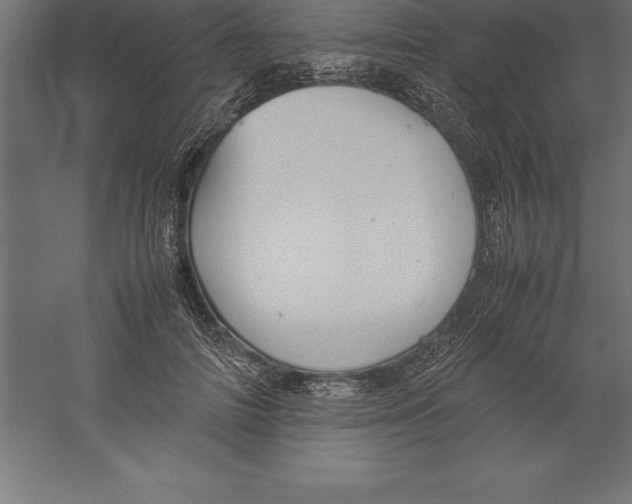 X0000060260698200511241428