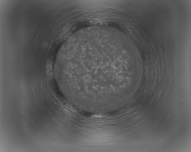 X0000060260699200511241428