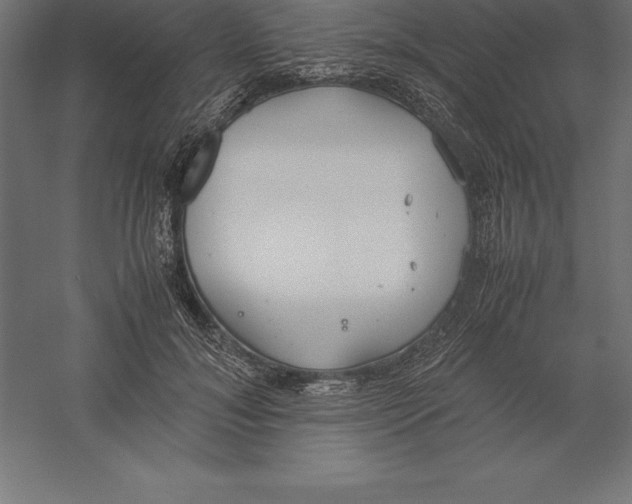 X0000060260700200511241428