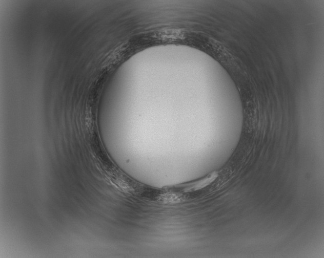 X0000060260704200511241428