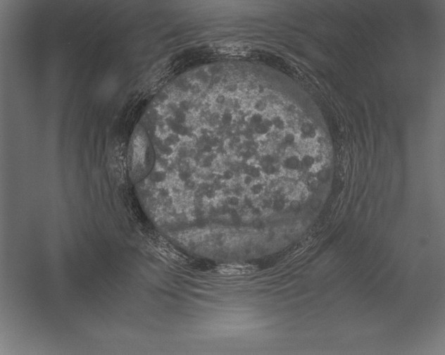 X0000060260707200511241428