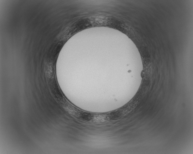 X0000060260709200511241427