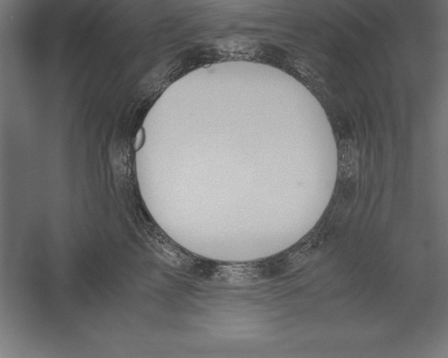 X0000060260713200511241427