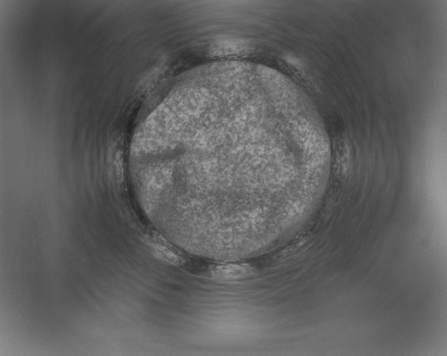 X0000060260716200511241427