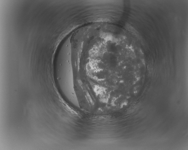 X0000060260721200511241426